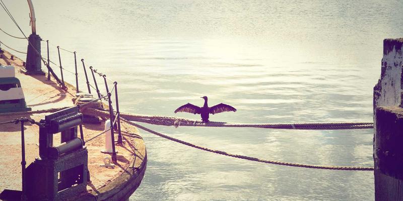 家庭旅行全攻略：如何利用福纳瓦生态系统一站式规划景点与目的地