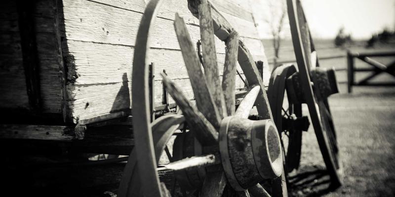 旅行无忧全攻略：深度解析福纳瓦售后服务网络与技术支持政策