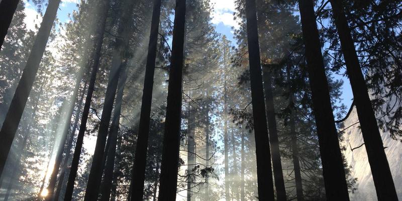 智能旅行攻略：福纳瓦产品与Apple Watch/安卓穿戴设备联动全体验