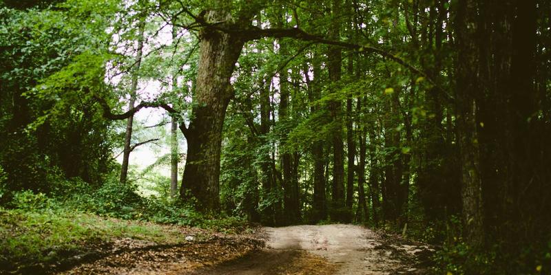 福纳瓦27完全攻略：解锁隐藏景点与深度体验指南