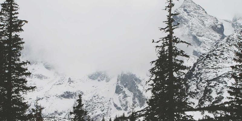 福纳瓦景点旅游新趋势：产品设计如何引领可持续旅行革命