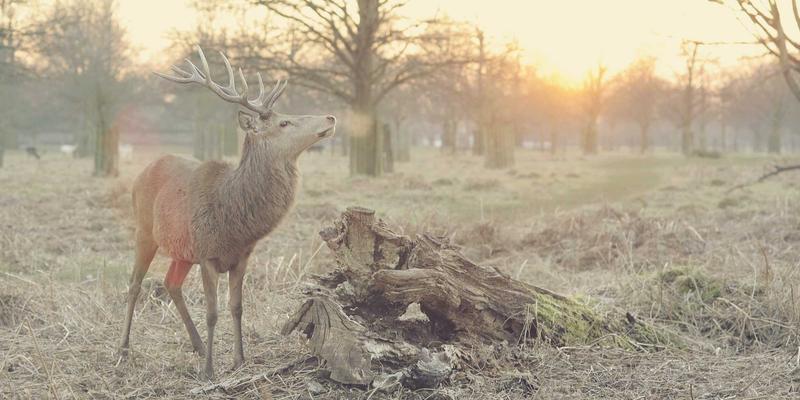 福纳瓦深度旅行指南：景点全解析与实用攻略