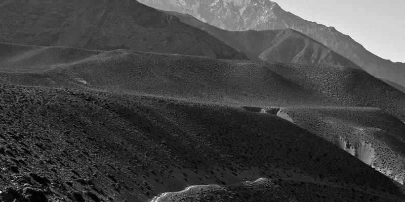 福纳瓦用户画像深度解析：哪类旅行者从中获得了最大价值提升？